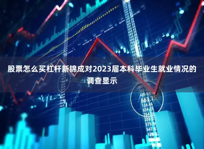 股票怎么买杠杆新锦成对2023届本科毕业生就业情况的调查显示