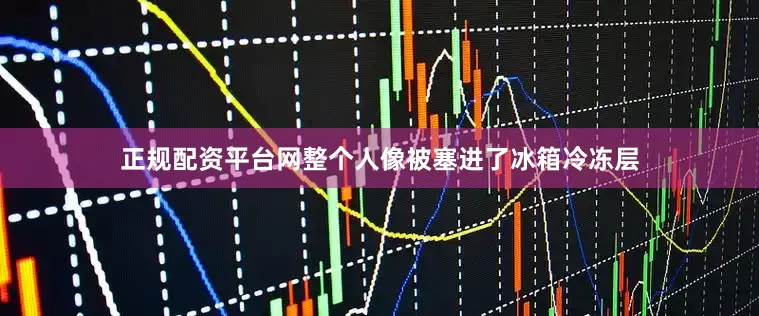 正规配资平台网整个人像被塞进了冰箱冷冻层