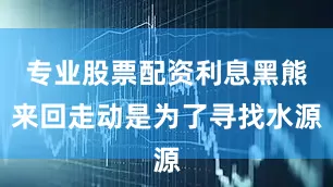 专业股票配资利息黑熊来回走动是为了寻找水源